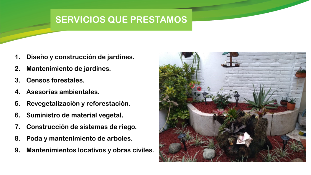servicios que prestamos 4